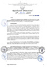 Vista preliminar de documento RD N°0529-2019.pdf