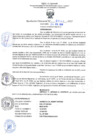 Vista preliminar de documento RD N°0546-2019.pdf