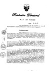 Vista preliminar de documento RD N° 213-2021.pdf
