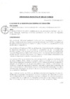 Vista preliminar de documento O.M-N°008-2019-MDCE Plan Local de Seguridad Ciudadana 2019