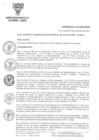 Vista preliminar de documento ORD-N-015-2020-MDSA