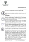 Vista preliminar de documento ORD-N-004-2020-MDSA.pdf