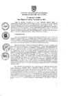 Vista preliminar de documento ra0456-2017