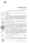 Vista preliminar de documento ORD-N-006-2019-MDSA