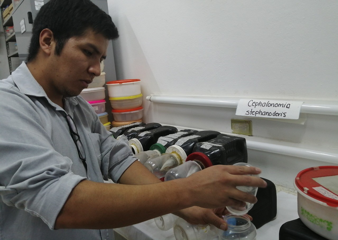 Talento en medio de un vivero realizando su trabajo