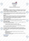 Vista preliminar de documento Plan de Medios