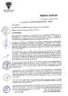 Vista preliminar de documento ORD-N-001-2014-MDSA.pdf