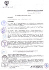 Vista preliminar de documento ORD-N-003-2013-MDSA.pdf