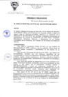 Vista preliminar de documento ORD-N-009-2010-MDSA.pdf