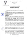 Vista preliminar de documento ORD-N-008-2010-MDSA.pdf