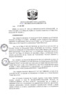 Vista preliminar de documento R.D N° 316-2021.pdf