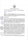 Vista preliminar de documento 297-2021-GG.pdf