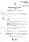 Vista preliminar de documento ra1115-2010