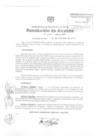 Vista preliminar de documento ra1194-2010