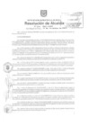 Vista preliminar de documento ra1241-2010