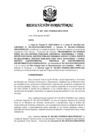 Vista preliminar de documento RD 063-2021.pdf