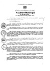 Vista preliminar de documento am068-2017