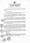 Vista preliminar de documento am039-2013