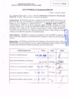 Vista preliminar de documento R.D.N° 195.pdf