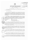 Vista preliminar de documento am241-2010