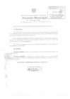 Vista preliminar de documento am310-2010