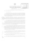 Vista preliminar de documento am346-2010