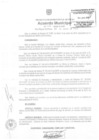Vista preliminar de documento am154-2010