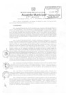Vista preliminar de documento am295-2010