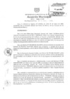 Vista preliminar de documento am197-2009