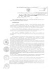 Vista preliminar de documento am315-2009
