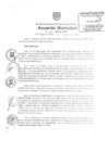 Vista preliminar de documento am196-2009