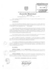 Vista preliminar de documento am397-2009