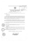 Vista preliminar de documento am319-2009