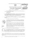 Vista preliminar de documento am209-2009
