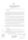 Vista preliminar de documento am386-2009