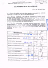 Vista preliminar de documento R.D.N° 208.pdf