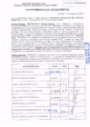 Vista preliminar de documento R.D.N° 223.pdf