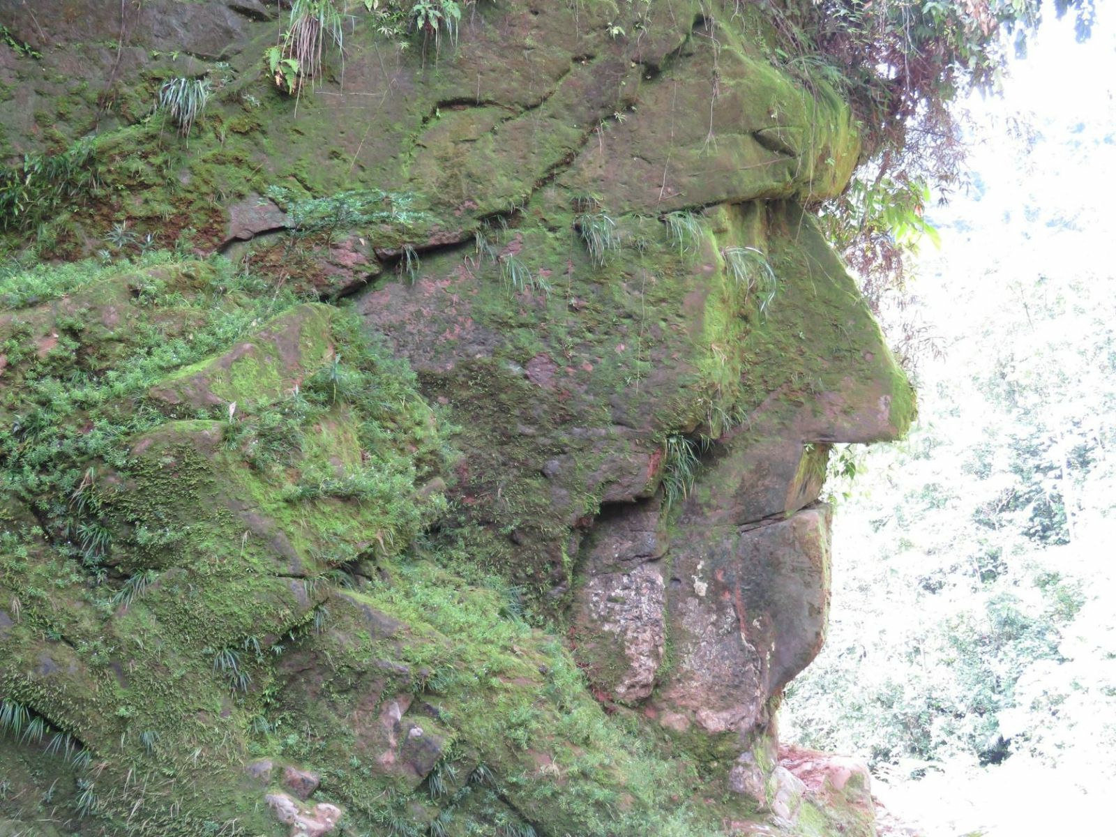 Ministerio de Cultura declaró Patrimonio Cultural de la Nación al Sitio Arqueológico Rostro Harakbut