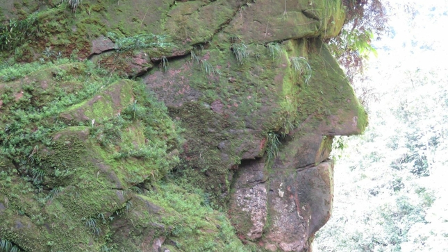Ministerio de Cultura declaró Patrimonio Cultural de la Nación al Sitio Arqueológico Rostro Harakbut