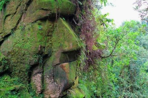 Ministerio de Cultura declaró Patrimonio Cultural de la Nación al Sitio Arqueológico Rostro Harakbut