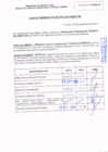 Vista preliminar de documento R.D.N° 272.pdf