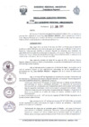 Vista preliminar de documento Resolución Ejecutiva  296-2011 GRA/PR