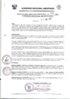Vista preliminar de documento Resolución Ejecutiva  261-2011 GRA/PR