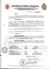 Vista preliminar de documento Resolución Ejecutiva  191-2011 GRA/PR