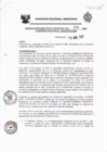 Vista preliminar de documento Resolución Ejecutiva  201-2011 GRA/PR
