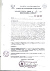 Vista preliminar de documento Resolución Ejecutiva  143-2011 GRA/PR