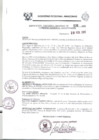 Vista preliminar de documento Resolución Ejecutiva  131-2011 GRA/PR