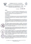 Vista preliminar de documento Resolución Ejecutiva  126-2011 GRA/PR