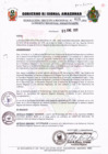 Vista preliminar de documento Resolución Ejecutiva  015-2011 GRA/PR