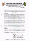 Vista preliminar de documento Resolución Ejecutiva  001-2011 GRA/PR